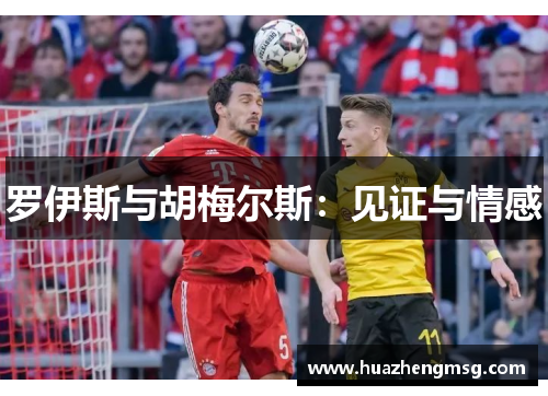 罗伊斯与胡梅尔斯：见证与情感